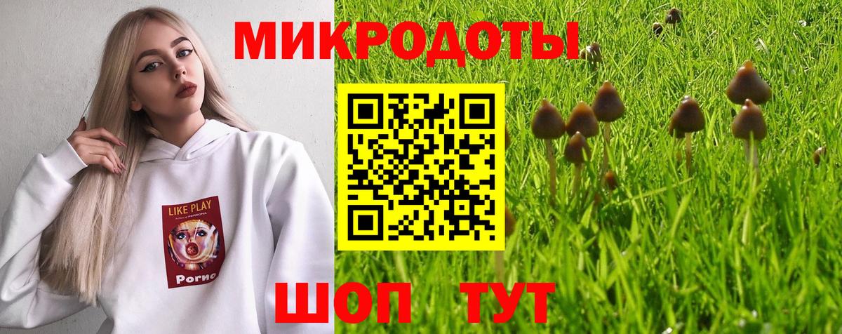 Псилоцибиновые грибы мухоморы Кировск