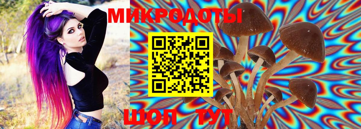 Кировск  Галлюциногенные грибы MAGIC MUSHROOMS  Вход с VPN 